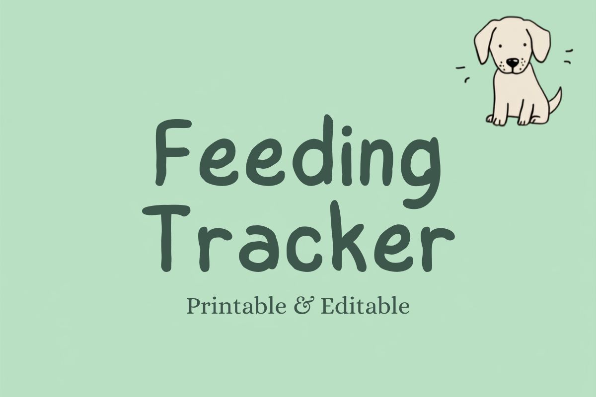 Daily Feeding Tracker